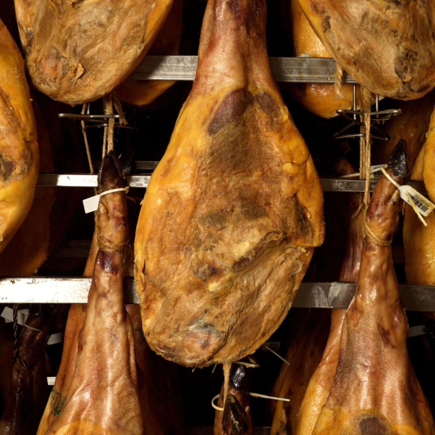 Características de nuestra paleta de cebo ibérica